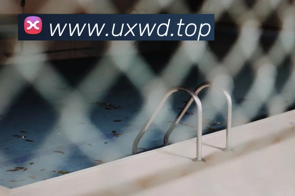 问鼎官网入口服务体系